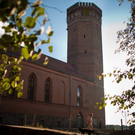 Wyświetl org. rozmiar