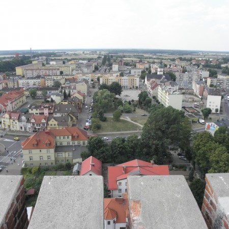 Wyświetl org. rozmiar