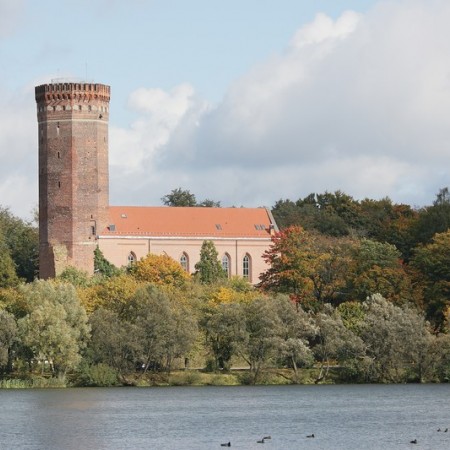 Wyświetl org. rozmiar