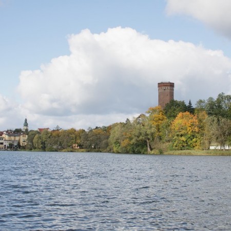 Wyświetl org. rozmiar