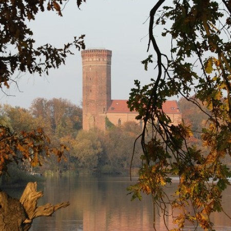 Wyświetl org. rozmiar