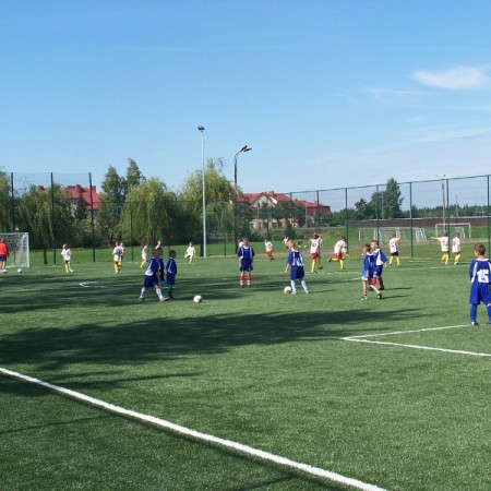 Wyświetl org. rozmiar