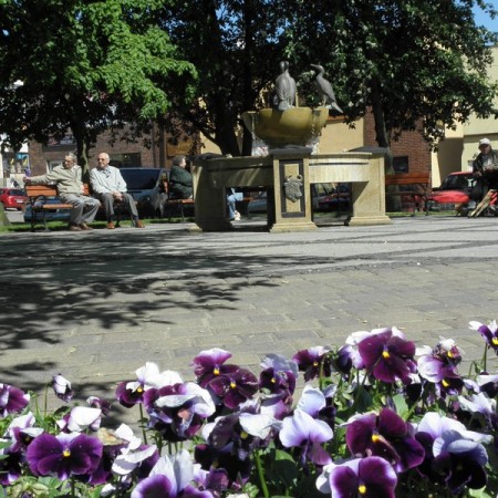 Wyświetl org. rozmiar Wyświetl org. rozmiar