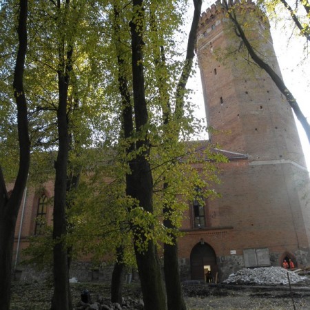 Wyświetl org. rozmiar