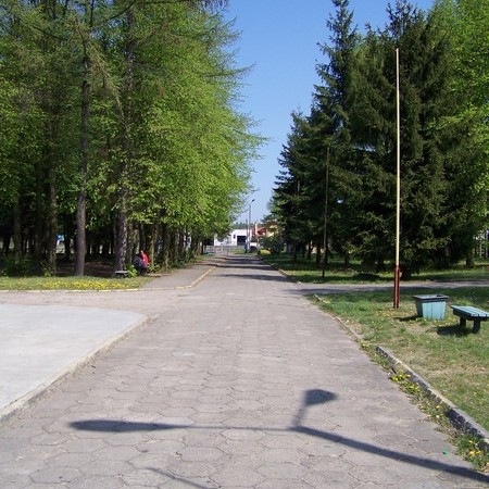 Wyświetl org. rozmiar