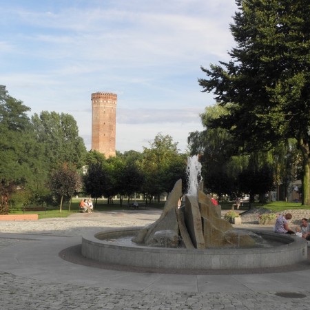 Wyświetl org. rozmiar Wyświetl org. rozmiar