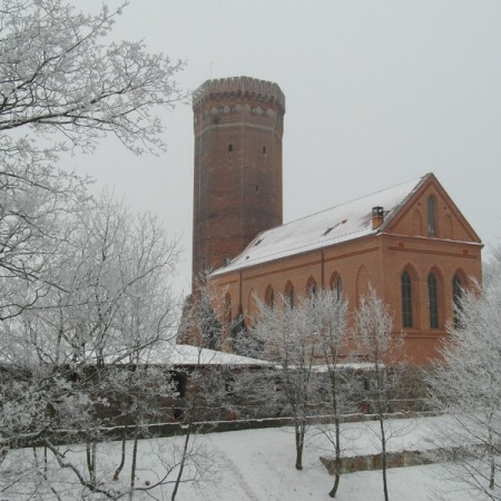 Wyświetl org. rozmiar